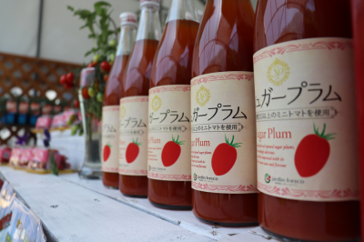 ★【お知らせ】ハルフレオンライン オープン