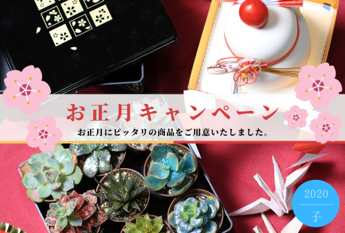 ★【お正月 CAMPAIGN】ハルフレオンライン～12/20開催中！