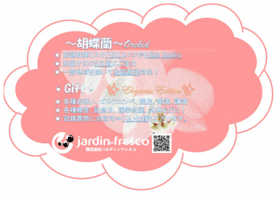 ★『胡蝶蘭』Gift 始めました！