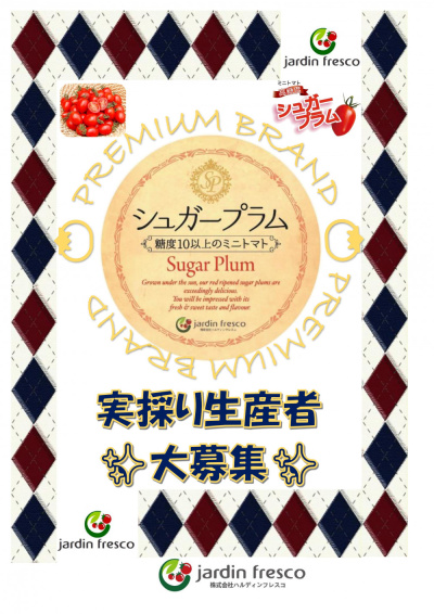 ★ミニトマト シュガープラム実採り生産者 大募集‼‼‼