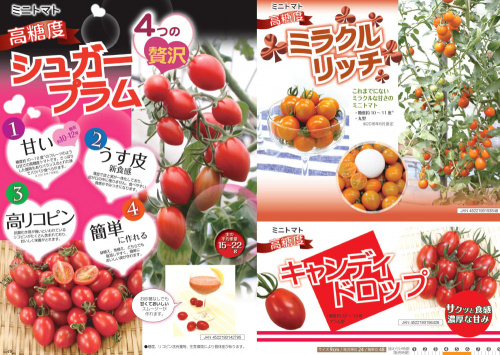 ★ ～jardin tomato BIG FES！2020.～　jarfre on-line
