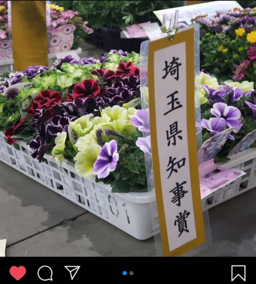 ★【受賞】埼玉県知事賞