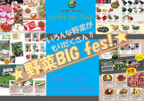 ★ ～jardin 野菜 BIG FES！2020.～　jarfre on-line