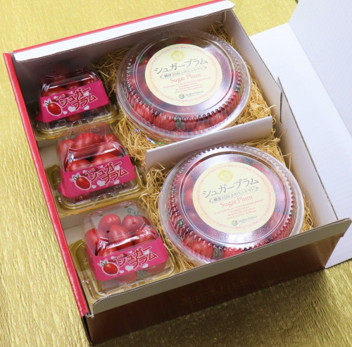 ★【ご案内】シュガープラム ギフトパッケージ　RENEWAL