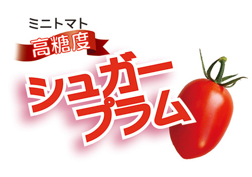 ★【お知らせ】TBS 6/28【がっちりマンデー‼】：高糖度ミニトマト シュガープラム