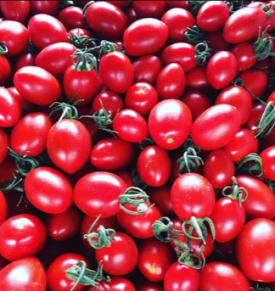 ★【７月度 連休対応】ハルフレ オンライン