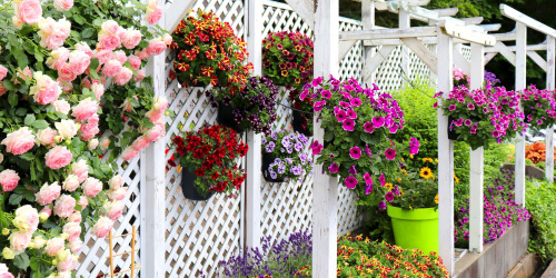 ★【求人情報】生産部：農場スタッフ（パート）