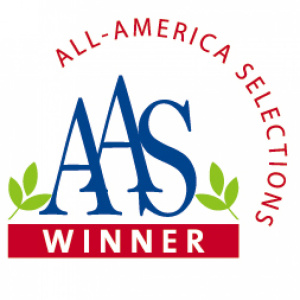 家庭菜園に適した品種として「2016AAS Vegetable Awards」を受賞しました。
