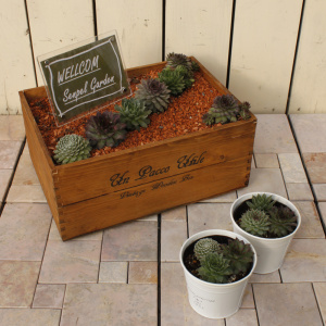 木箱寄せ植え イメージ