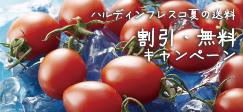 ✰ハルディンフレスコ ”夏の送料無料・割引キャンペーン”✰