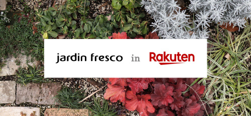 ハルディンフレスコからのお知らせ‼