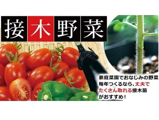 接木野菜 野菜 商品一覧 株式会社ハルディン Jardin Co Ltd